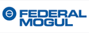 Federal-Mogul Goetze (India) Ltd logo