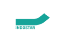 Indostar Capital Finance Ltd logo